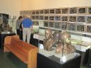 PICTURES/Currahee Museum and Toccoa Falls/t_IMG_4086.jpg